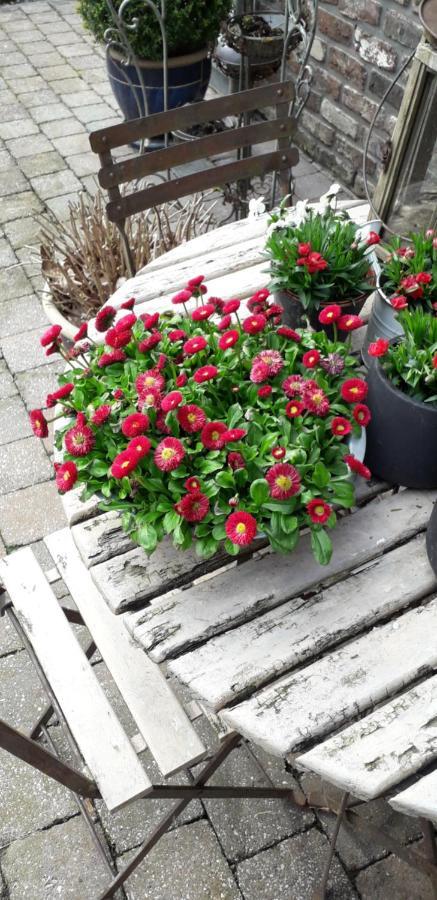 Chambre Aqualine エワイユ エクステリア 写真